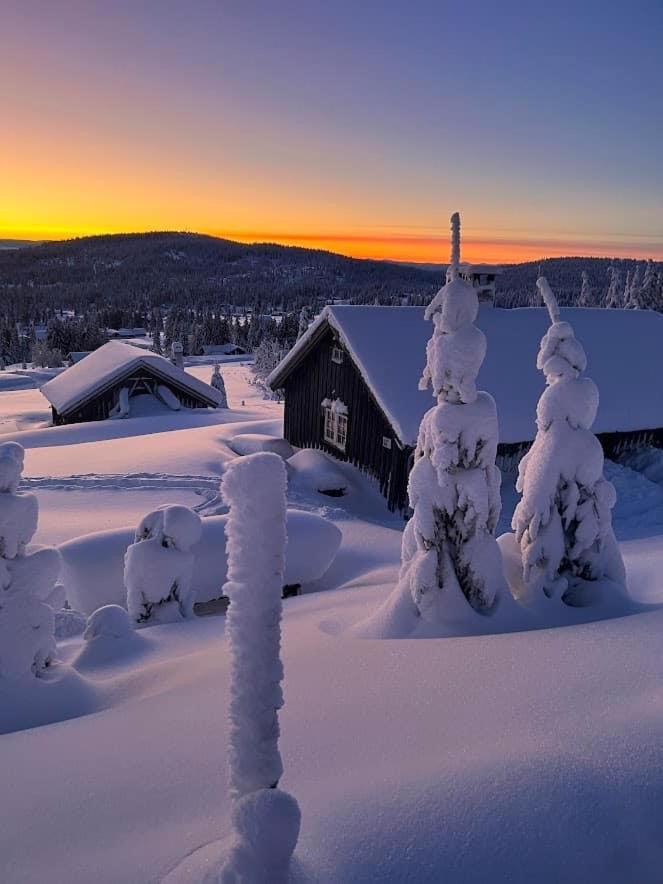 Nordseter Fjellpark, Hyttegrend Quarto foto